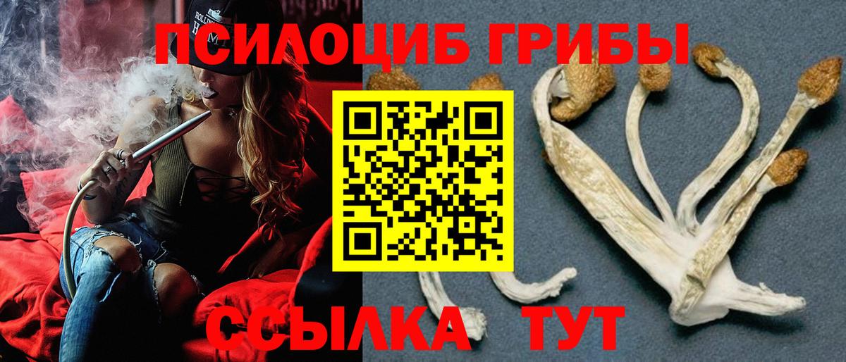 Галлюциногенные грибы MAGIC MUSHROOMS Ярцево