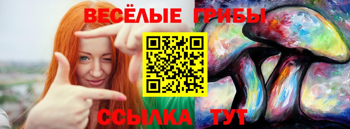 Псилоцибиновые грибы GOLDEN TEACHER  Вход с VPN  Ярцево 